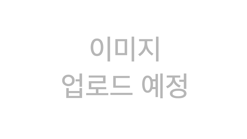 파일:빈 가로 이미지.png